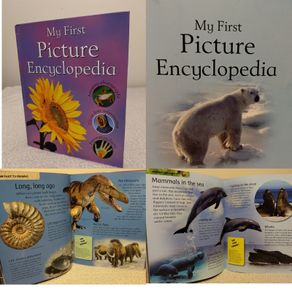 My First Picture Encyclopedia Hardback book
