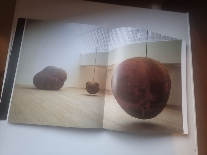 Antony Gormley by John Hutchinson, Lela B. Njatin, E. H. Gombrich and W. J. T. Mitchell