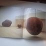 Antony Gormley by John Hutchinson, Lela B. Njatin, E. H. Gombrich and W. J. T. Mitchell Image 4