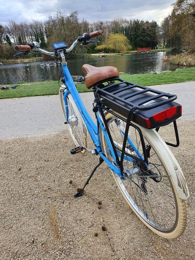 Electric Bike (Step Through)_Pendleton
