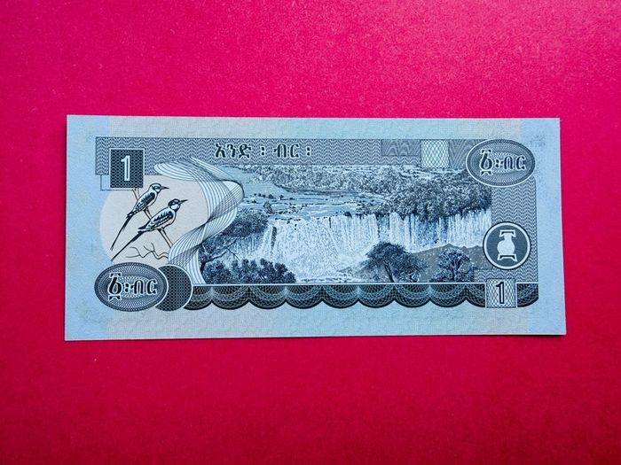 Ethiopia  1 Birr  1998 - 2006  Pick  46d ( Uncirculated )