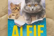 Alfie The Holiday Cat by Rachel Wells (Hardback)