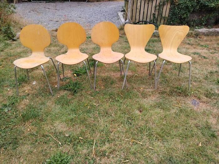 Kitchen Chairs