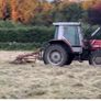 Hay Bob Image 7