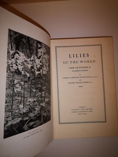 SALE! Lilies of the World - Their Cultivation and Classification Hubert B. Drysdale Woodcock and William Thomas Stearn 1950