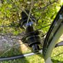 DT Swiss R470 Disc Aluminum Tubeless 700c Wheelset Image 4