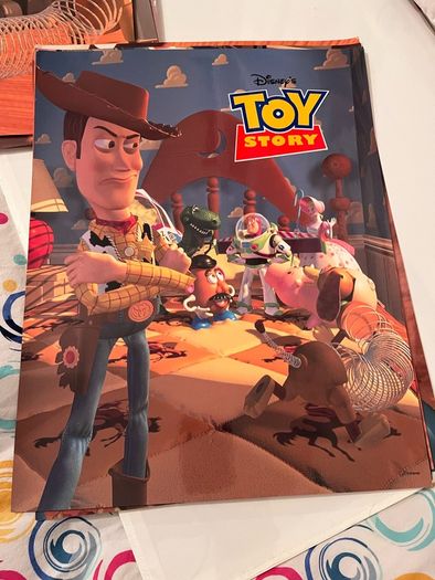 Toy Story Original Cinema Banner and Lobby Photos. Very Big. Rectangular