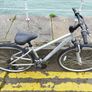 Carrera Mountain Bike Image 2