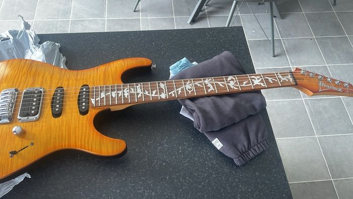 Electric Guitar