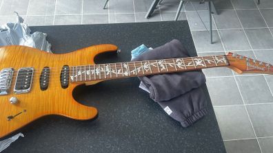 Electric Guitar