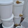 4 Beehives & Bees with ALL equipment Image 7