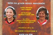 2006 Oulart The Ballagh v Monageer-Boolavogue - Wexford Camogie Club Final