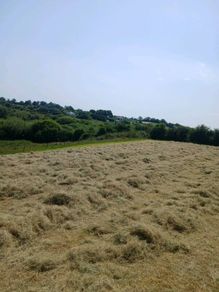 Hay Bale's