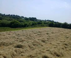 Hay Bale's
