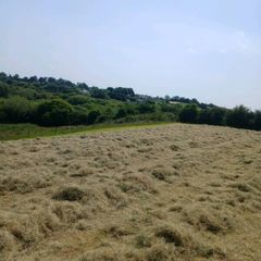 Hay Bale's
