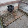 poultry Image 3