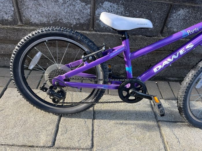 Dawes Paris 20 inch girls bike