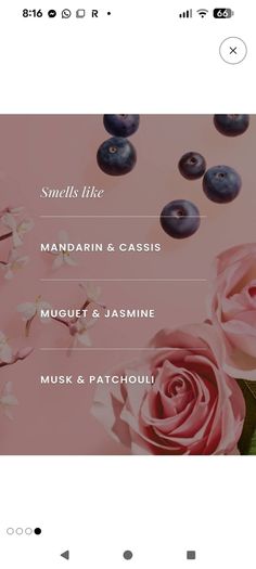 women's perfume / fragrance