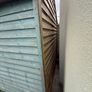 shed Image 3