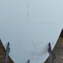Atlantek 7'3" Surfboard (Includes Fins & Leash) Image 2
