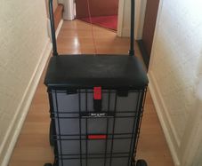 Shop a Seat Mobility Aid Shopping Trolley