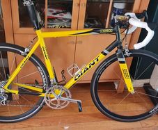 giant tcr once team