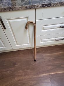 Walking stick briar