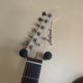 Aria pro ii teg telecaster Image 3