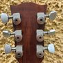 Gibson SG J 2014 - 120th Anniversary - Chocolate Satin Image 6