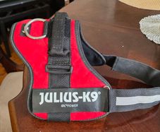 Julius K9