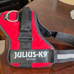 Julius K9