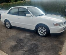 1996 Toyota Corolla