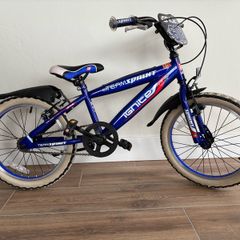 18inch Ignite bike