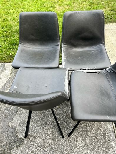 Dining Chairs