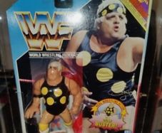 Hasbro Wwf MOC