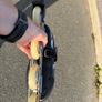 rollerblades size9 Image 6