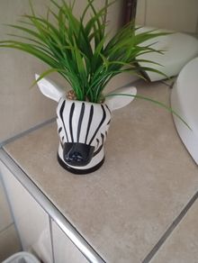zebra artificial plant and pot