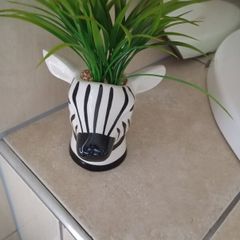 zebra artificial plant and pot