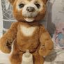 Cubby the curious bear Image 5