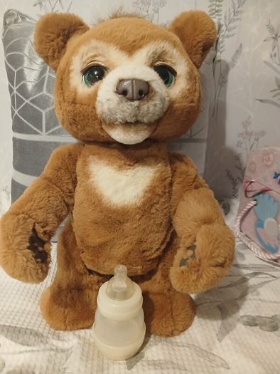 Cubby the curious bear