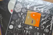 Bon Iver Vinyl Records