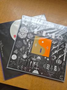 Bon Iver Vinyl Records