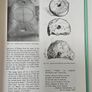 The Landscape of Slieve Bloom - John Feehan - Irish Natural History Book Image 5