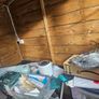 8x6  shed Image 3