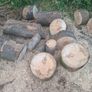 firewood Image 3