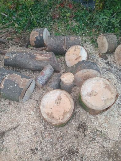 firewood