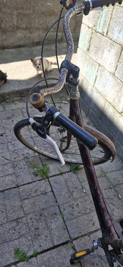 Women's bike