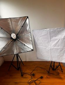 2-Light Softbox Studio Lighting Kit, 85W 5500K Bulbs, Stands & Carry Case