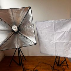 2-Light Softbox Studio Lighting Kit, 85W 5500K Bulbs, Stands & Carry Case