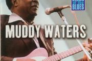 Muddy Waters. Kings of the Blues. CD. Free Postage!